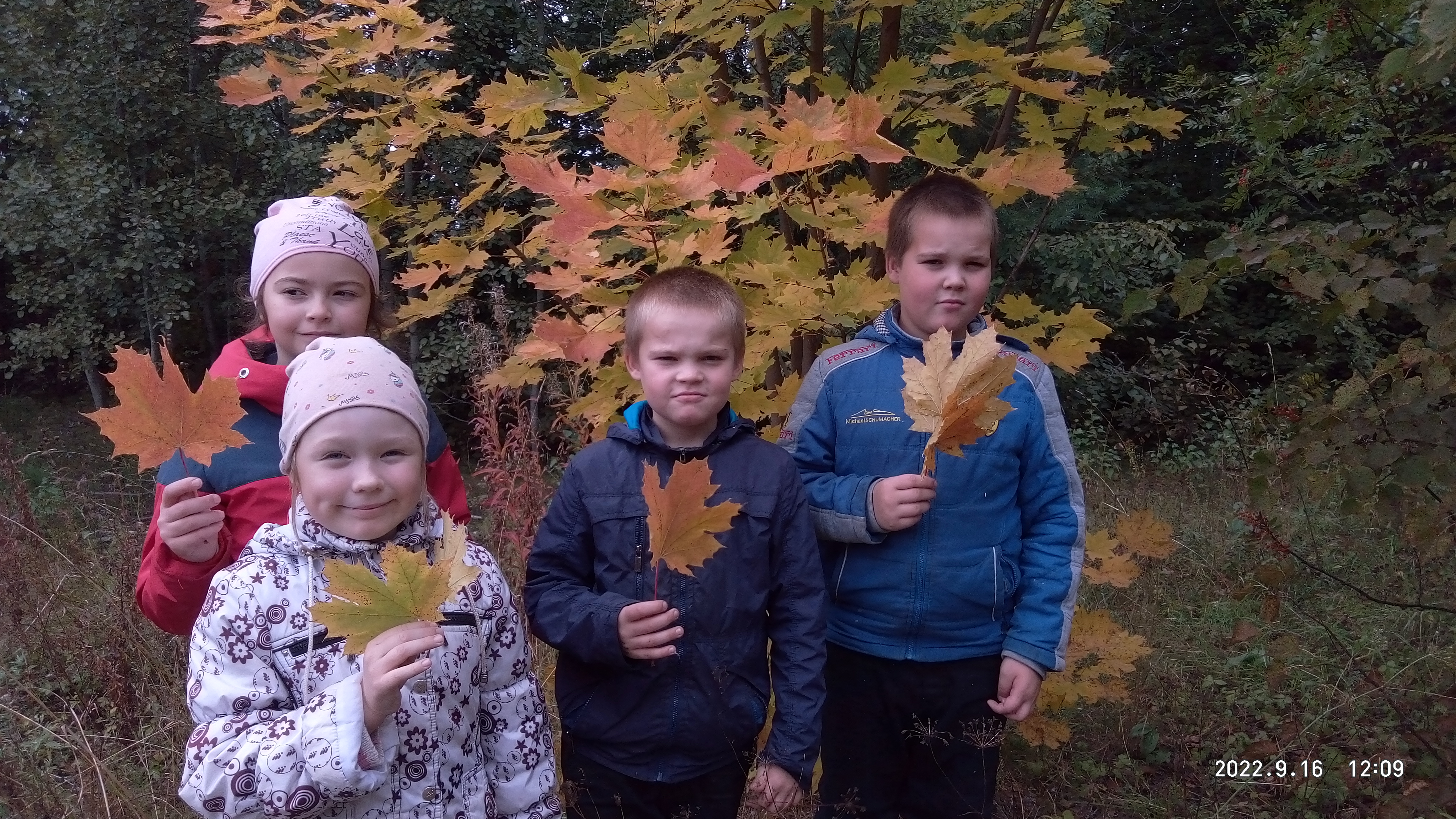 Учащиеся школы на осенней экскурсии в лесу